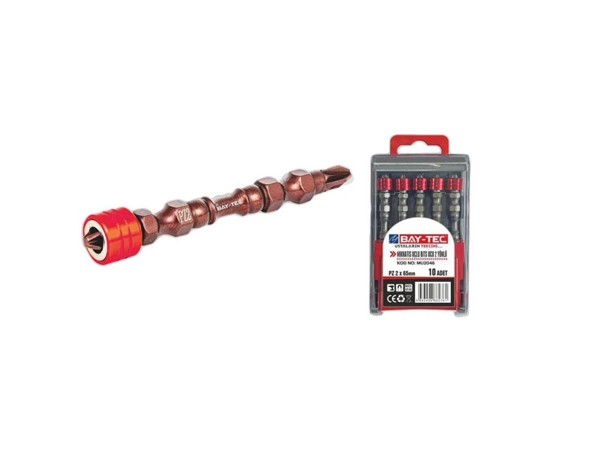 BAY-TEC MIKNATIS UÇLU BİTS UCU 2 YÖNLÜ PZ2X65 MM